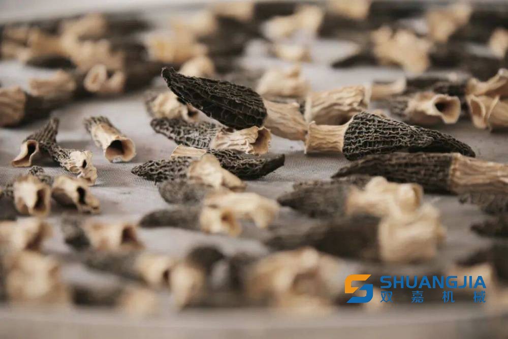 1648863897151850.jpg 16-48-14-28-283825.jpg