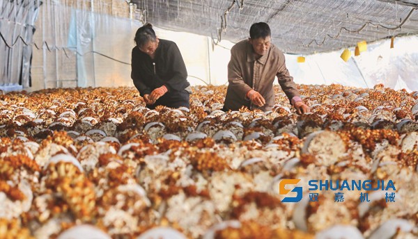 1649043946125160.jpg 10-44-52-56-283825.jpg