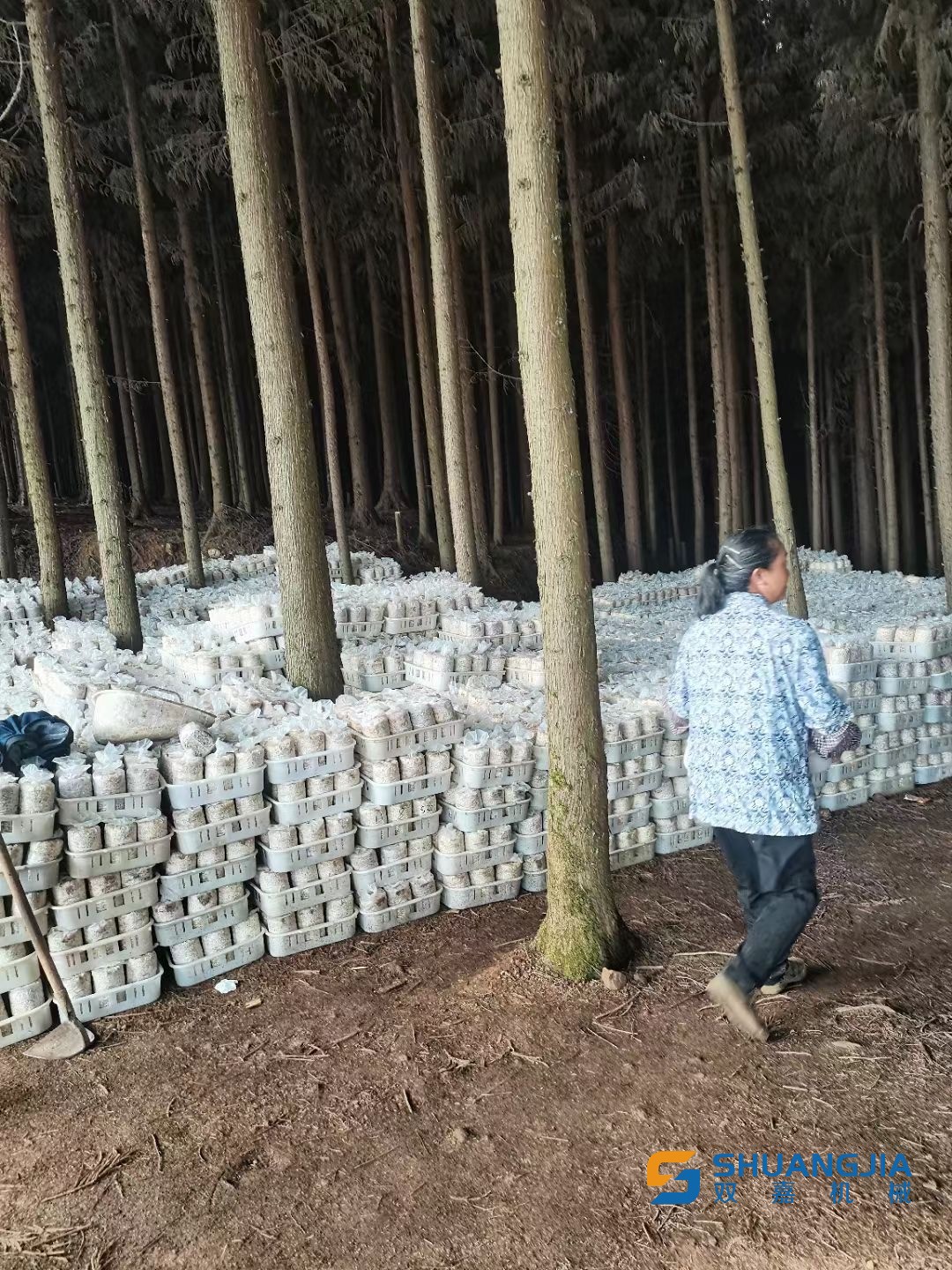 1649215287118110.png C9C07EDB1CCB751B3D65581F76B4AD39.png