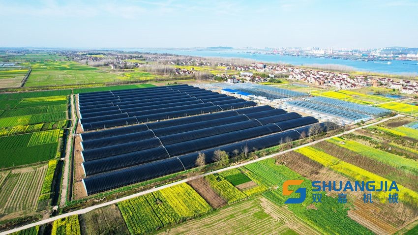 1649381096174849.jpg 10-49-35-92-283825.jpg